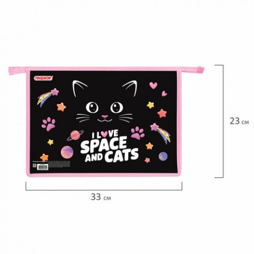 Папка для тетрадей ПИФАГОР А4, 1 отделение, картон/пластик, на молнии, Dark kitten, 273339