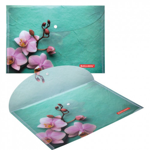 Папка-конверт с кнопкой BRAUBERG FLOWER, А4, 160 мкм, до 100 листов, цветная печать, 228031
