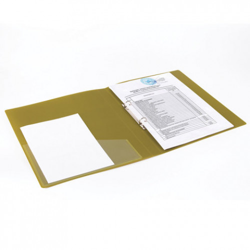 Папка на 2 кольцах BRAUBERG Bronze silk, 25 мм, внутренний карман, бронза, до 170 листов, 0,7 мм, 227503