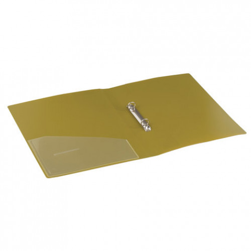 Папка на 2 кольцах BRAUBERG Bronze silk, 25 мм, внутренний карман, бронза, до 170 листов, 0,7 мм, 227503