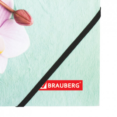 Папка на резинках BRAUBERG FLOWER, А4, цветная печать, до 300 листов, 500 мкм, 228032