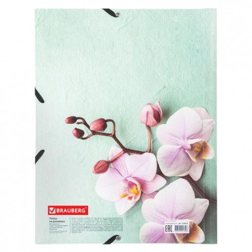 Папка на резинках BRAUBERG FLOWER, А4, цветная печать, до 300 листов, 500 мкм, 228032