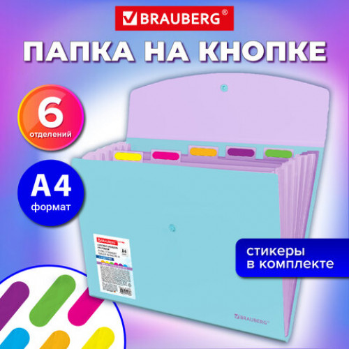 Папка-органайзер конверт на кнопке 6 отделений, BRAUBERG Extra, A4, голубая с лиловым, 274104