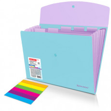Папка-органайзер конверт на кнопке 6 отделений, BRAUBERG Extra, A4, голубая с лиловым, 274104