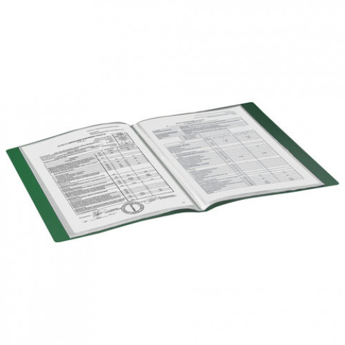Папка 40 вкладышей BRAUBERG Contract, зеленая, вкладыши-антиблик, 0,7 мм, бизнес-класс, 221779