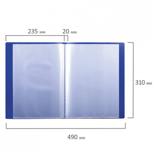 Папка 30 вкладышей BRAUBERG стандарт, синяя, 0,6 мм, 221599