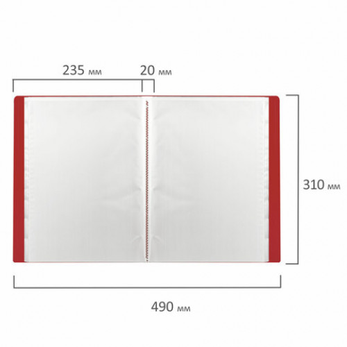 Папка 30 вкладышей BRAUBERG Office, красная, 0,5 мм, 222630