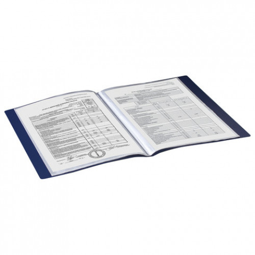 Папка 20 вкладышей BRAUBERG Contract, синяя, вкладыши-антиблик, 0,7 мм, бизнес-класс, 221772
