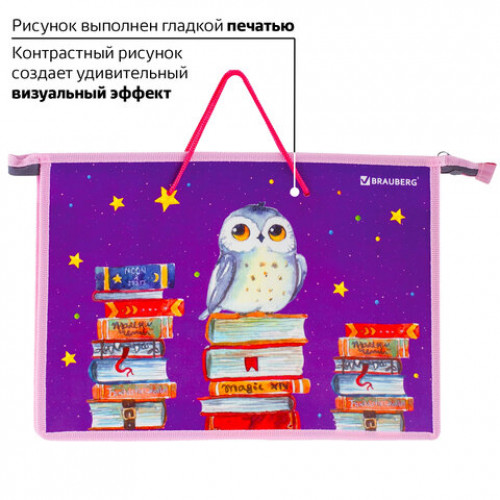 Папка на молнии с ручками BRAUBERG, А4, 1 отделение, пластик, цветная печать, молния сверху, Сова на книгах, 228156