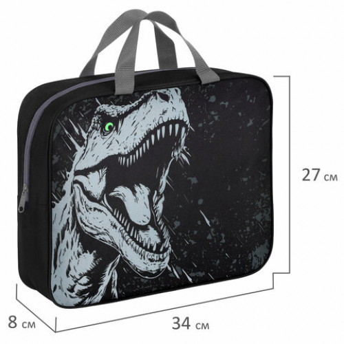 Папка на молнии с ручками BRAUBERG А4, 1 отделение, полиэстер, 80 мм, Scary dino, 273308