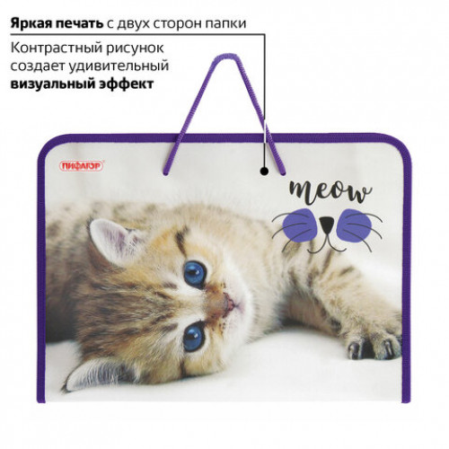 Папка для труда ПИФАГОР с ручками, А4, пластик, молния вокруг, откидная планка, Kitten, 229135