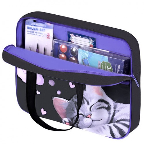 Папка на молнии с ручками BRAUBERG А4, 1 отделение, карман на молнии, 80 мм, Sleeping kitten, 273309