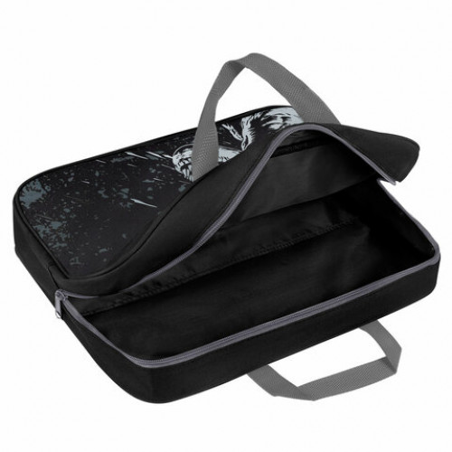 Папка на молнии с ручками BRAUBERG А4, 1 отделение, полиэстер, 80 мм, Scary dino, 273308