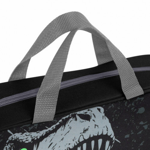 Папка на молнии с ручками BRAUBERG А4, 1 отделение, полиэстер, 80 мм, Scary dino, 273308