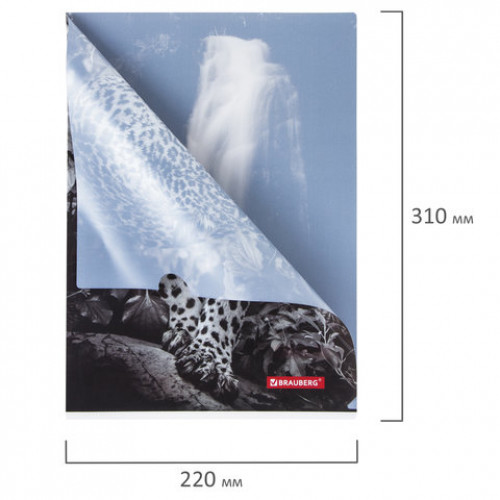 Папка-уголок BRAUBERG LEOPARD, А4, 150 мкм, цветная печать, 228040