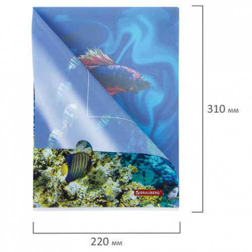 Папка-уголок BRAUBERG SEA WORLD, А4, 150 мкм, цветная печать, 228042