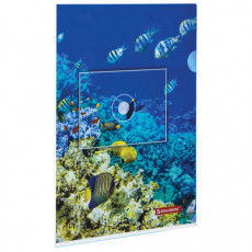 Папка-уголок BRAUBERG SEA WORLD, А4, 150 мкм, цветная печать, 228042
