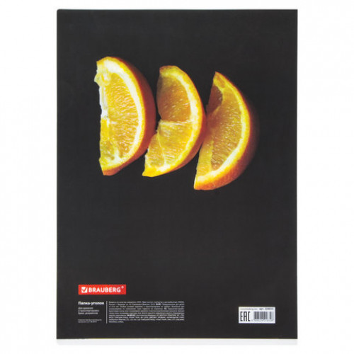 Папка-уголок BRAUBERG FRESH ZONE, А4, 150 мкм, цветная печать, 228035