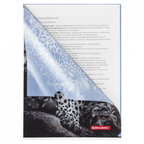 Папка-уголок BRAUBERG LEOPARD, А4, 150 мкм, цветная печать, 228040