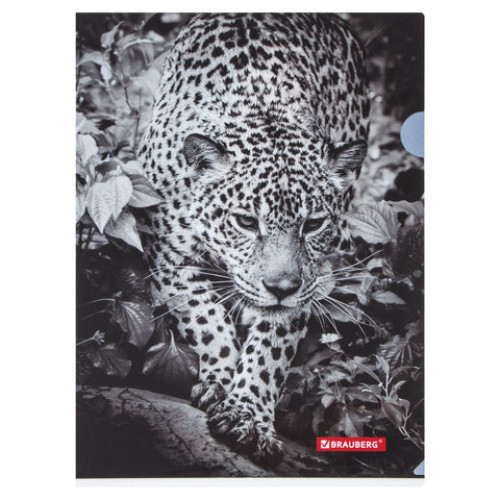 Папка-уголок BRAUBERG LEOPARD, А4, 150 мкм, цветная печать, 228040
