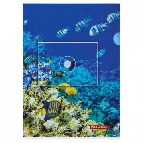 Папка-уголок BRAUBERG SEA WORLD, А4, 150 мкм, цветная печать, 228042