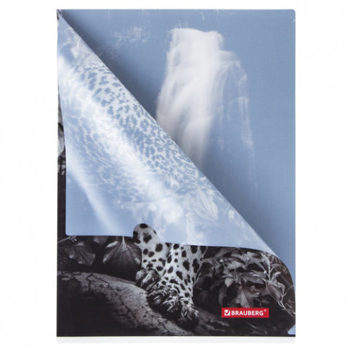 Папка-уголок BRAUBERG LEOPARD, А4, 150 мкм, цветная печать, 228040