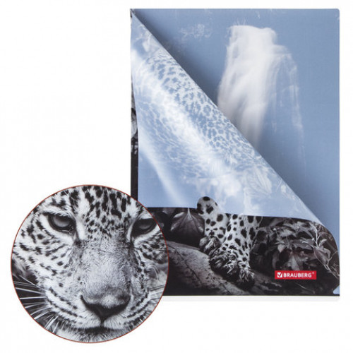 Папка-уголок BRAUBERG LEOPARD, А4, 150 мкм, цветная печать, 228040