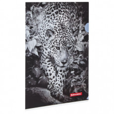 Папка-уголок BRAUBERG LEOPARD, А4, 150 мкм, цветная печать, 228040
