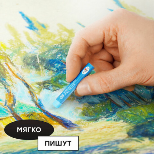 Пастель масляная ГАММА Студия, 50 цветов, круглое сечение, картонная упаковка, 160320208