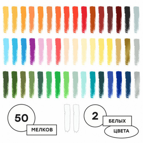 Пастель масляная ГАММА Студия, 50 цветов, круглое сечение, картонная упаковка, 160320208