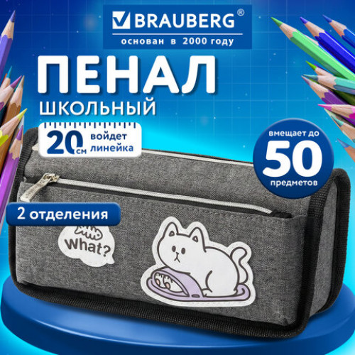 Пенал мягкий BRAUBERG, 2 отделения, полиэстер, Little catcher, серый, 21х9х6 см, 274611