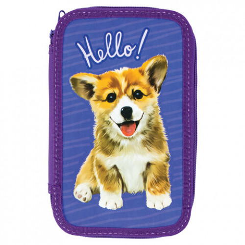 Пенал ПИФАГОР, 3 отделения, ламинированный картон, Little Dog, 19х11 см, 229214