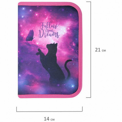 Пенал BRAUBERG, 1 отделение, 1 откидная планка, полиэстер, 21х14 см, Space cat, 270712