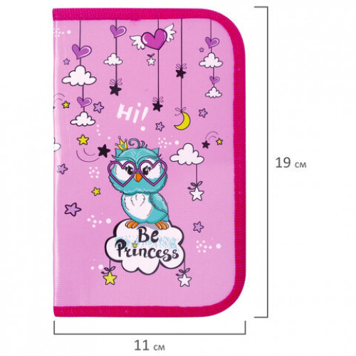 Пенал ПИФАГОР, 1 отделение, ламинированный картон, 19х11 см, OWL PRINCESS, 229150