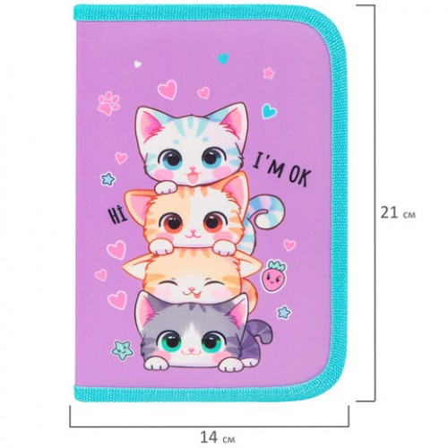 Пенал BRAUBERG, 1 отделение, 1 откидная планка, полиэстер, 21х14 см, Funny kittens, 273523