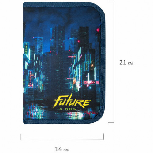 Пенал BRAUBERG, 1 отделение, 2 откидные планки, полиэстер, 21х14 см, Future, 270718