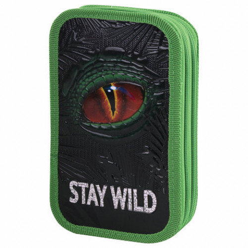 Пенал ЮНЛАНДИЯ, 2 отделение, ламинированный картон, конгрев, 19х11 см, Stay wild, 270889