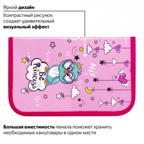 Пенал ПИФАГОР, 1 отделение, ламинированный картон, 19х11 см, OWL PRINCESS, 229150