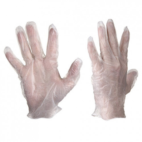 Перчатки виниловые, КОМПЛЕКТ 5 пар (10 шт.), неопудренные, размер L (большой), белые, PACLAN, 407550