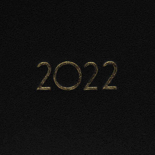 Планинг датированный 2022 305х140 мм BRAUBERG Select, под кожу, черный, 112723