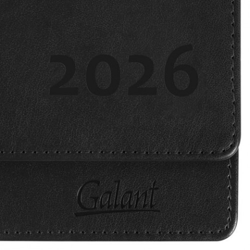 Планинг датированный 2026 305х140 мм GALANT Ritter, под кожу, черный, 117238