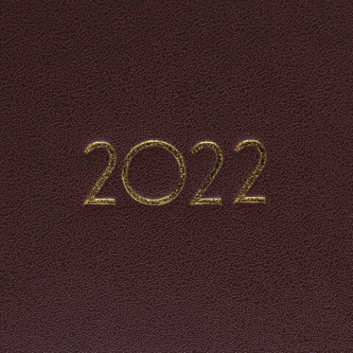 Планинг датированный 2022 305х140 мм BRAUBERG Select, под кожу, коричневый, 112724