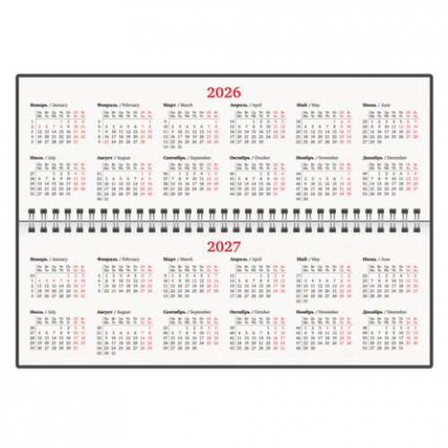 Планинг датированный 2026 305х140 мм BRAUBERG Select, под кожу, черный, 117232