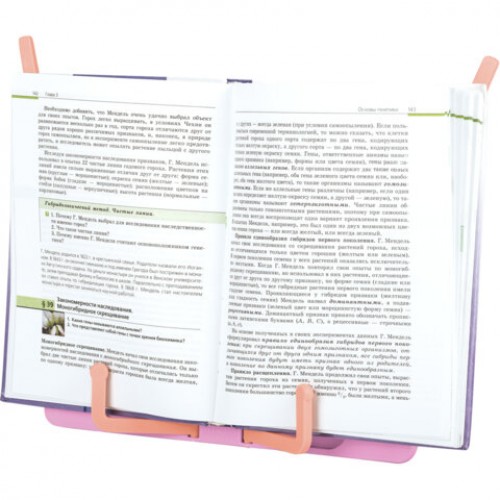Подставка для книг и учебников BRAUBERG KIDS Dinosaurs, регулируемый угол наклона, прочный ABS-пластик, 238060