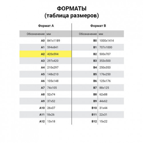 Папка для рисунков и чертежей А2, 640х470 мм, ПЧЕЛКА, с ручками, пластиковая, черная, ПМ-А2-35