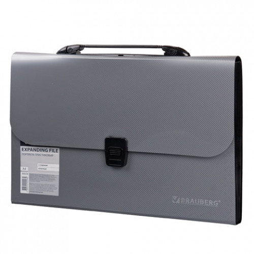 Папка-портфель пластиковая BRAUBERG А4 (327х254х30 мм), 13 отделений, фактура диагональ, серебристая, 221442