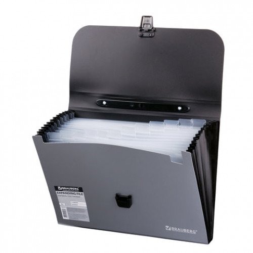 Папка-портфель пластиковая BRAUBERG А4 (327х254х30 мм), 13 отделений, фактура диагональ, серебристая, 221442