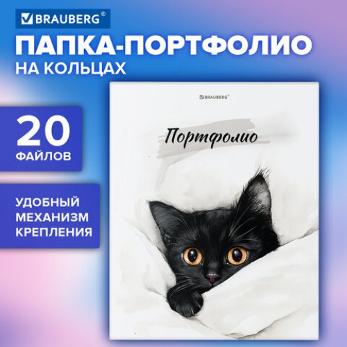 Папка-портфолио универсальная, 4 кольца, 20 файлов 10 вкладышей, 7БЦ матовая, BRAUBERG, 117557