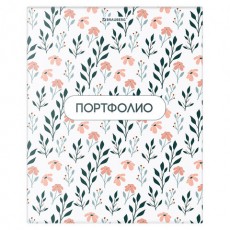 Папка-портфолио универсальная, 4 кольца, 20 файлов 10 вкладышей, 7БЦ матовая, BRAUBERG, Дизайн 4, 117556