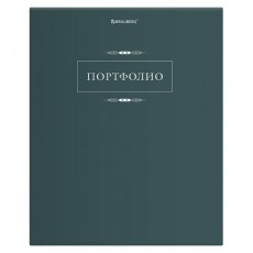 Папка-портфолио универсальная, 4 кольца, 20 файлов, 7БЦ матовая, BRAUBERG Classic, 117554